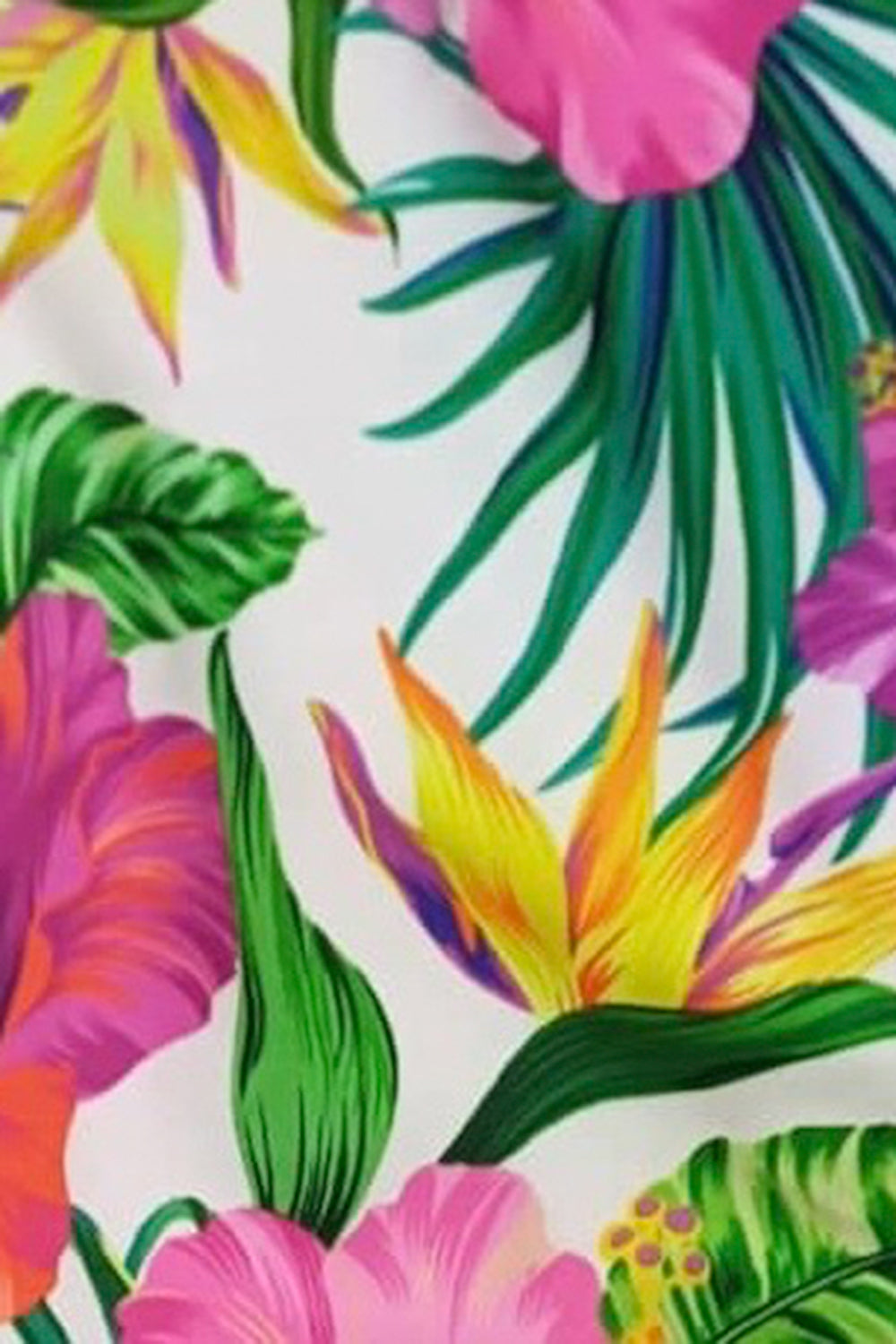BIKINI GH